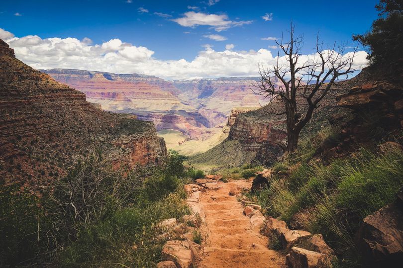 'Avid' hiker, 74, dies as he attempts rimtorim Grand Canyon hike in