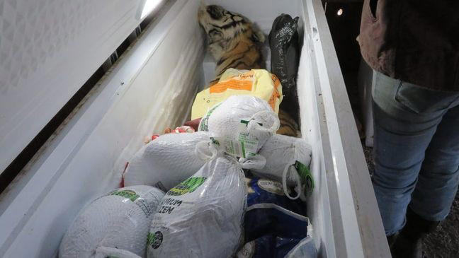 Animal welfare investigation leads to seizure of 310 animals in Oregon