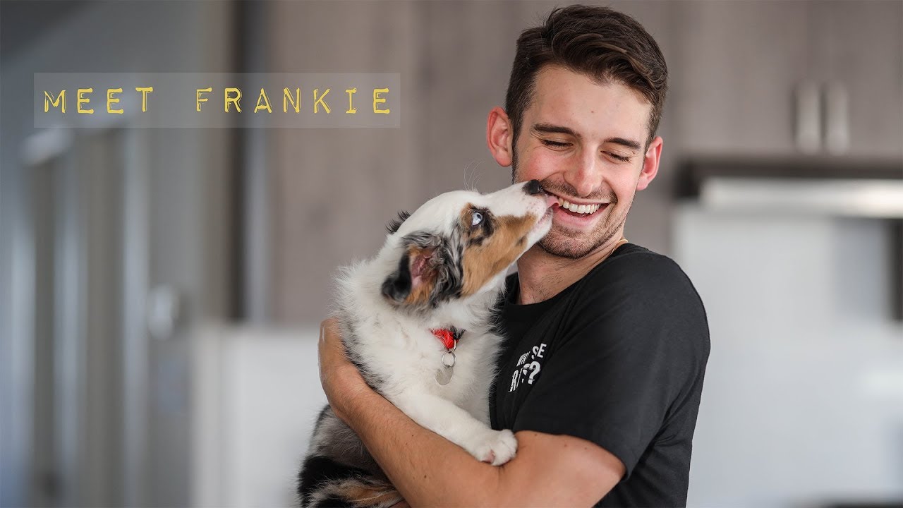 How a puppy helped me heal after heartbreak