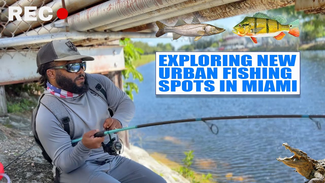 Park, Cast, Catch - The Easiest Fishing You'll Ever Do