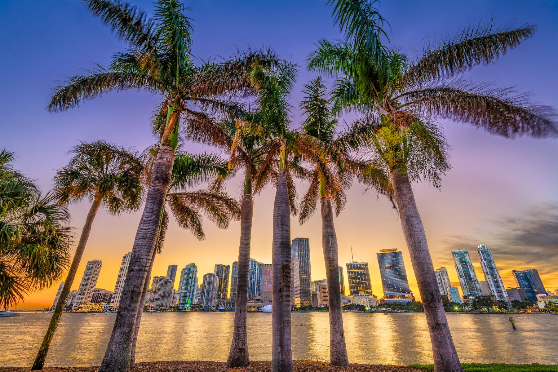 10 Unforgettable Florida Experiences You Won’t Want to Miss