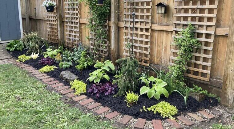 How To Create Your Own Backyard Oasis On A Budget