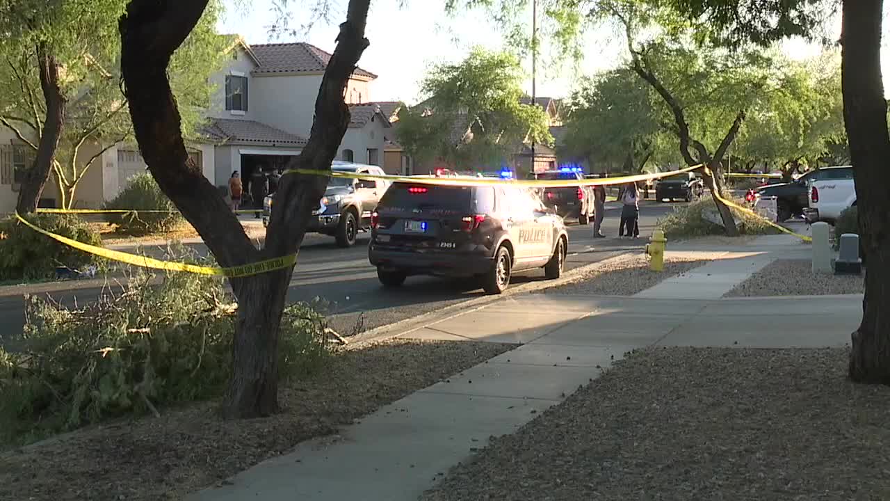 Renter accused of killing landscaper hired by landlord to trim trees in(02)