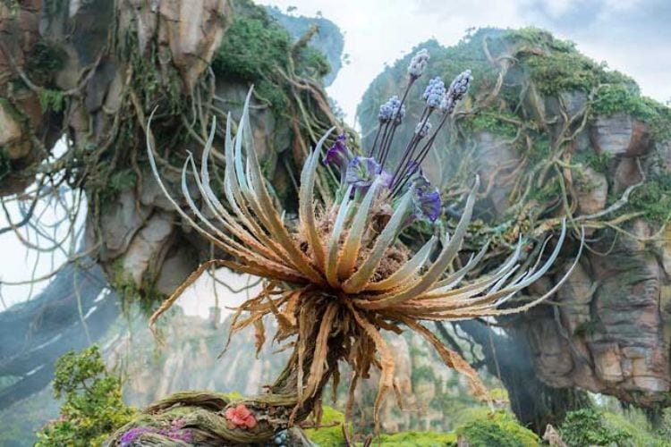 10 Unforgettable Florida Experiences You Won’t Want to Miss