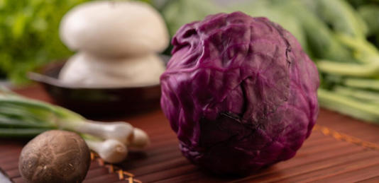 الملفوف البنفسجي