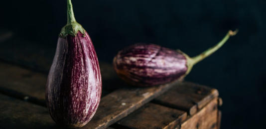 الباذنجان باللون البنفسجي