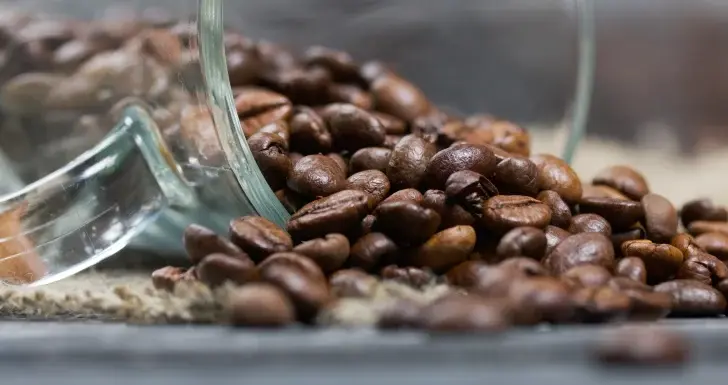  © Yakubovich Vadzim via ShutterStock (ID: 1905698617)