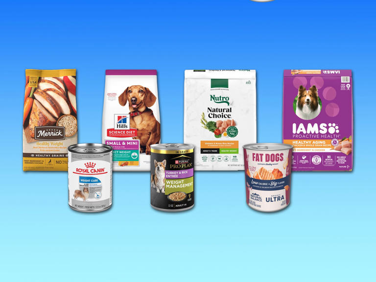 the-best-dog-food-for-weight-loss-in-2025