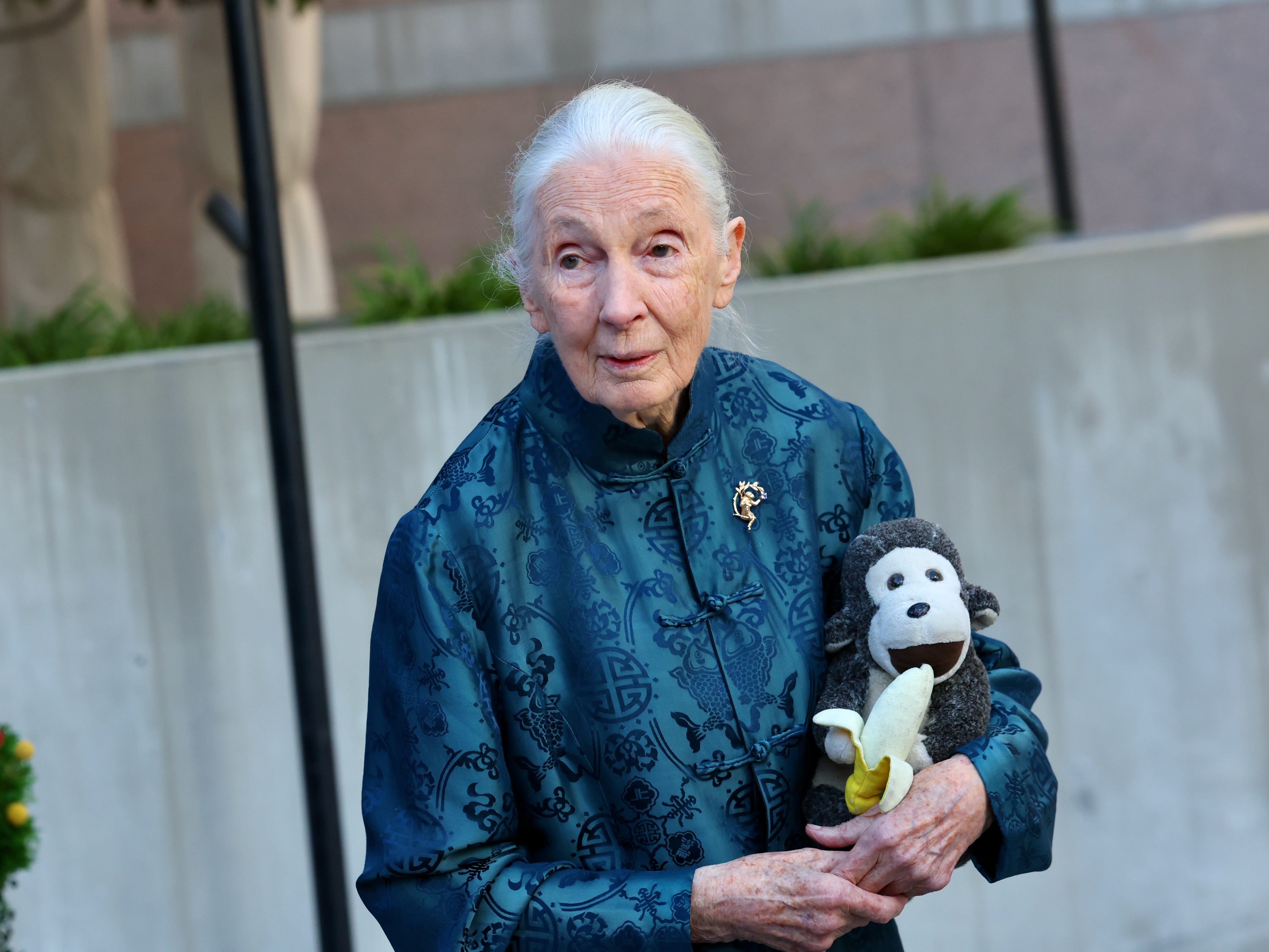 Jane Goodall, 91, on being objectified early in her career 'If my legs