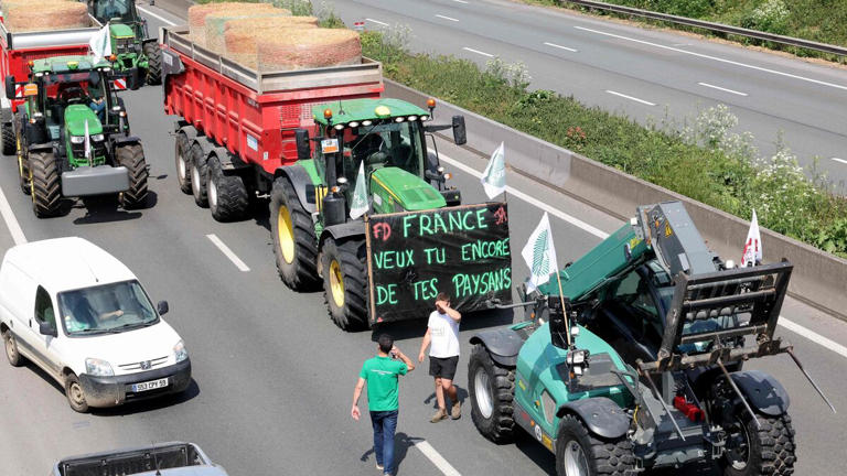 La Fédération régionale des syndicats exploitants (FRSEA) a annoncé un blocage des axes routiers autour de la capitale dès lundi, pour une durée indéterminée. FRANCOIS LO PRESTI / AFP