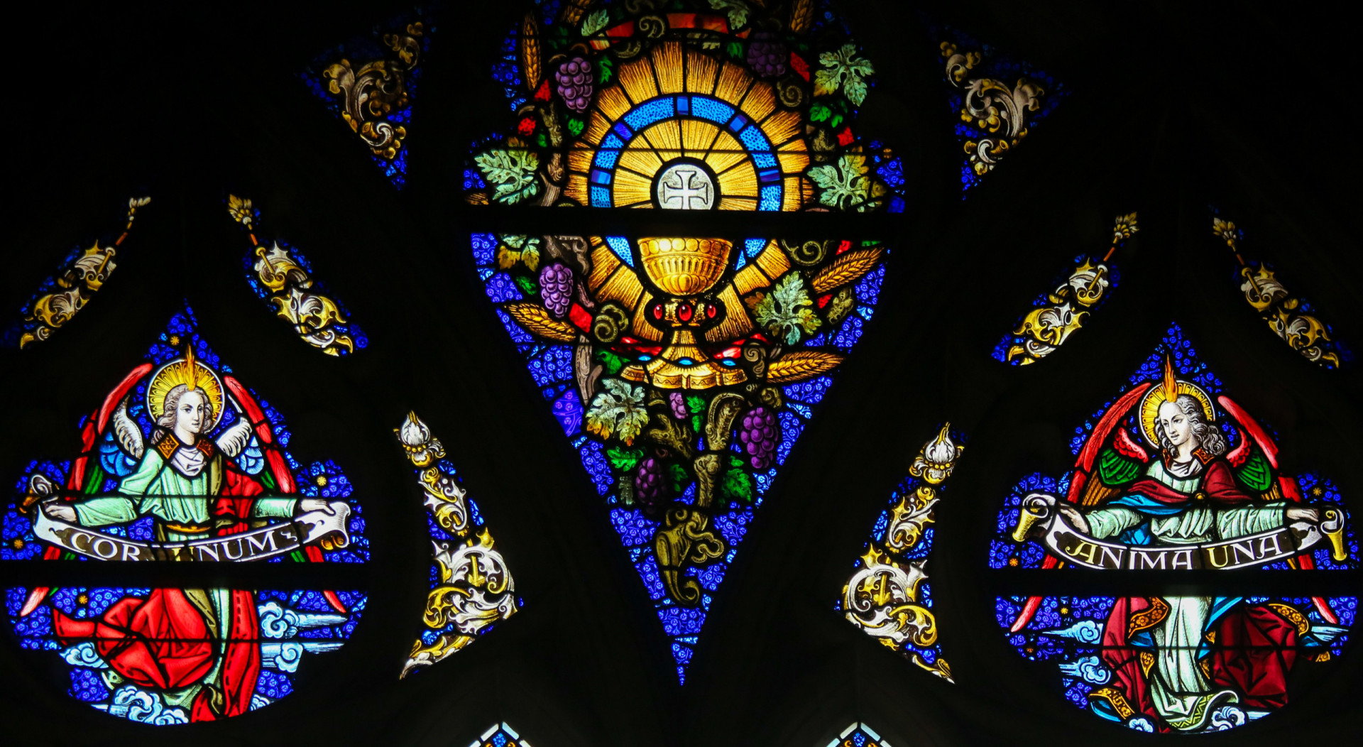 Biggest mysteries that probably won't be resolved