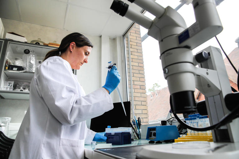 Un Mix Di Due Farmaci Nuova Cura Per Le Malattie Cardiovascolari - La