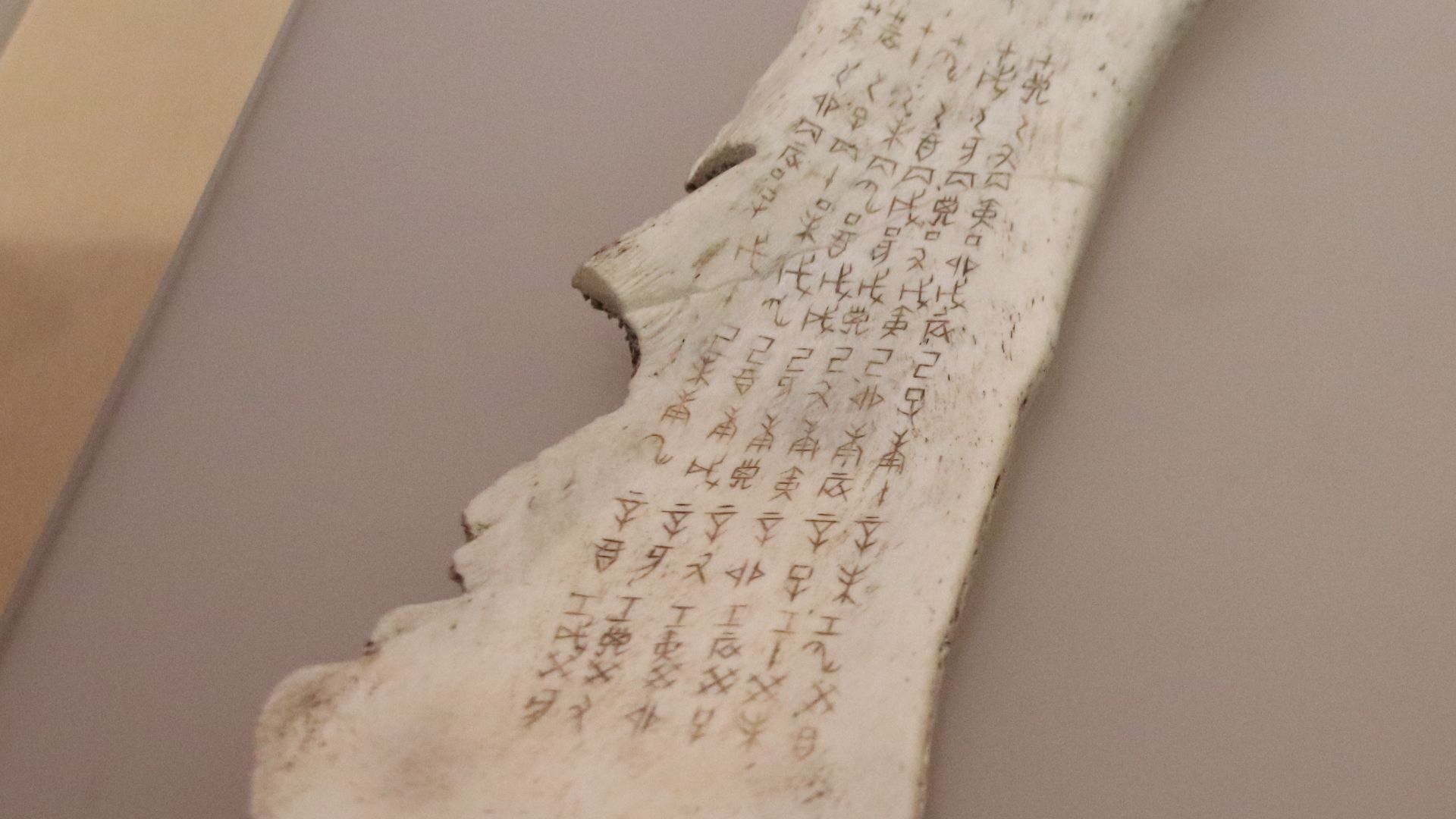 The 20 Oldest Surviving Documents Throughout History