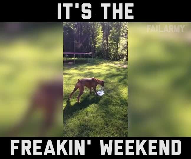 Welcome to the Weekend Fails Compilation by FailArmy