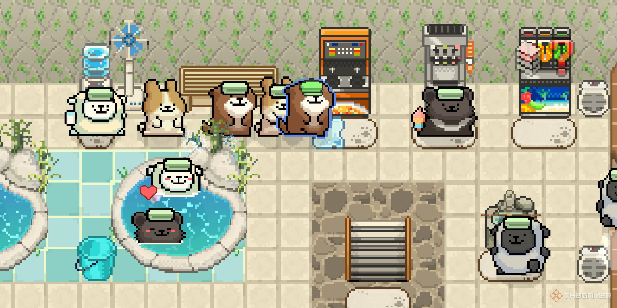 Beginner Tips And Tricks For Animal Spa