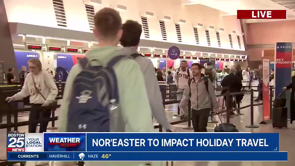 Logan (film) visual data 3