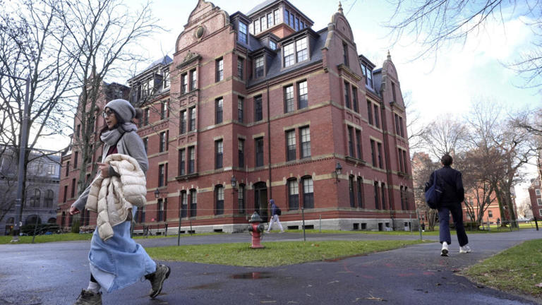 Le campus de l'université de Harvard à Cambridge, Massachusettes, le 17 décembre 2024.