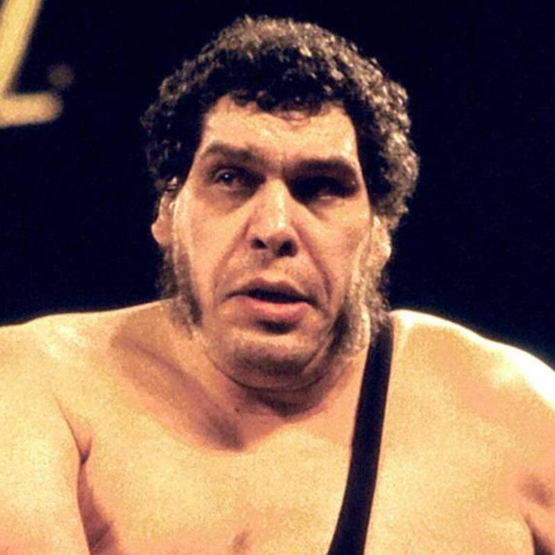 The Larger Than Life World Of Andre The Giant