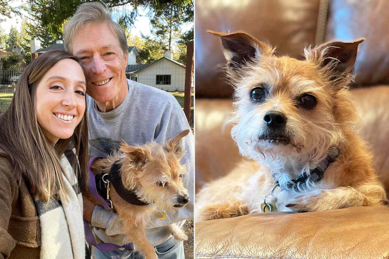 Heartfelt Video Captures Dad's Final Moments with Beloved Dog Before