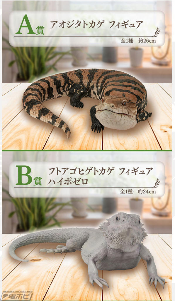 【新品】爬虫類＆両生類　一番くじ　ヘルマンリクガメ フィギュア 部屋んぽver. 一番くじ爬虫類&両生類 C賞ヘルマンリクガメフィギュア部屋んぽ