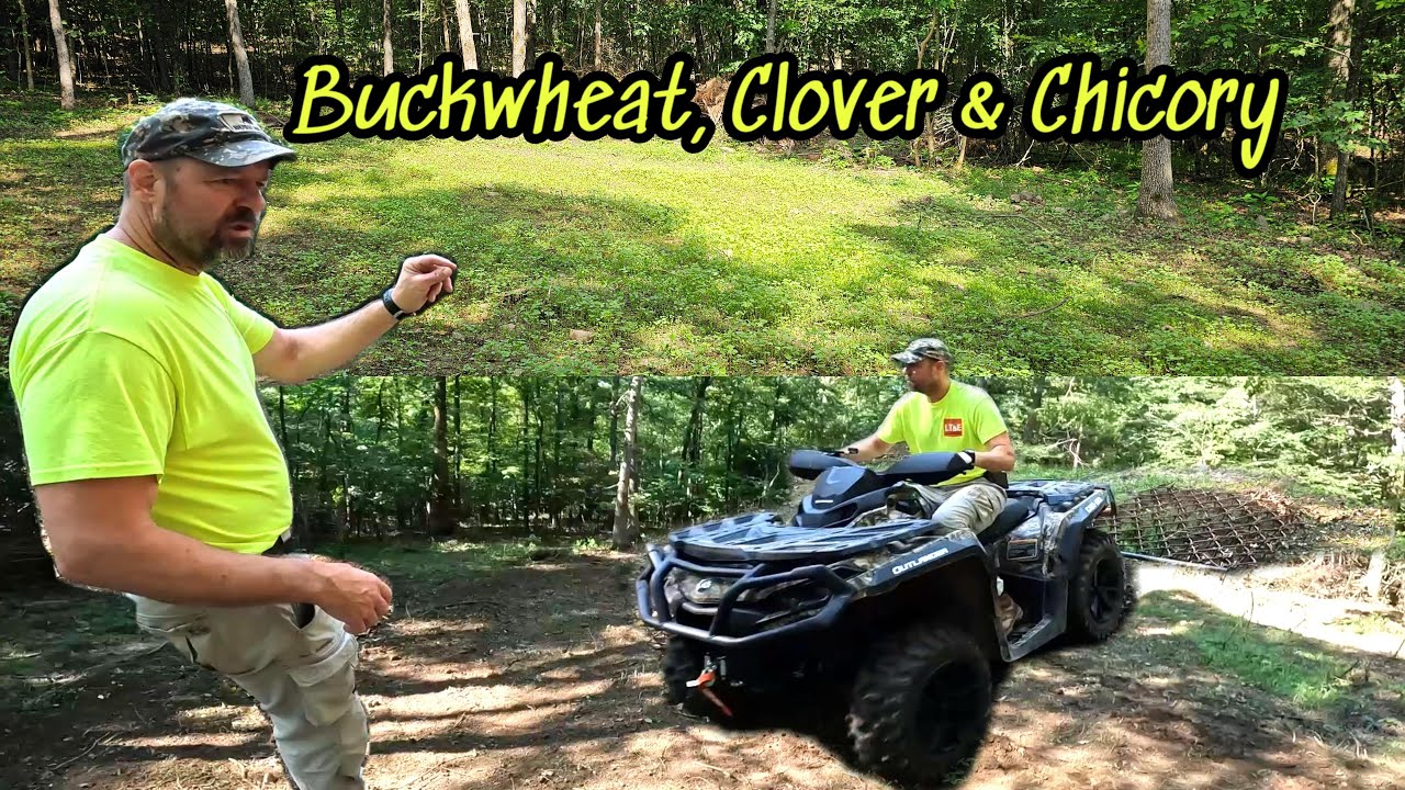 How to Plant the Ultimate Micro Food Plot for Deer