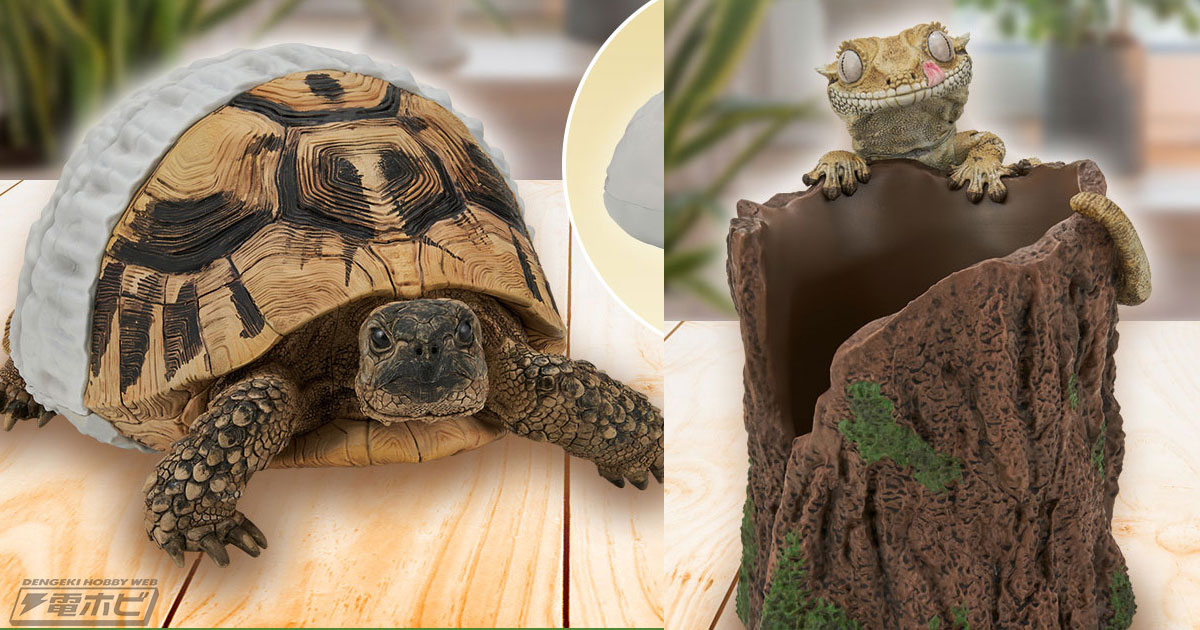 一番くじ　爬虫類&両生類　C賞 　ヘルマンリクガメ　フィギュア　部屋んぽ 爬虫類＆両生類 一番くじ C賞 ヘルマンリクガメ フィギュア 部屋
