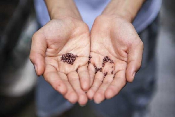 10 Bisnis Menjanjikan di Pedesaan, Dijamin Buat Cuan Bertambah!
