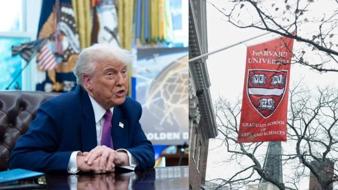 Harvard en pie de guerra: Demanda a Trump por prohibición a estudiantes internacionales