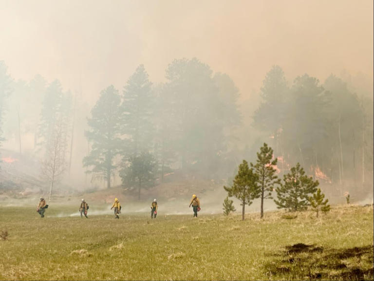 Agencies conduct prescribed burn near Woodland Park