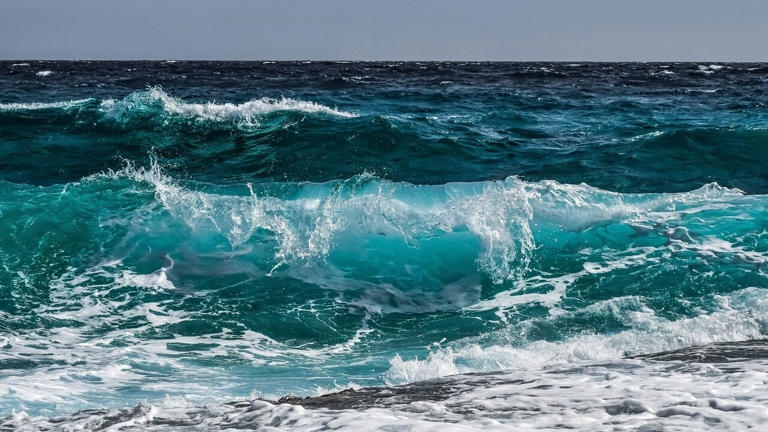 Why ocean warming experiments may be making misleading predictions