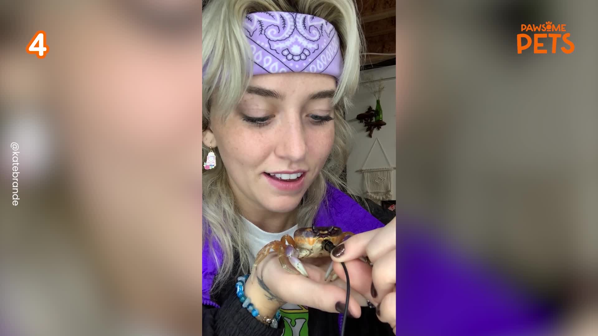 You Won’t Believe What These 6 Pets Can Do