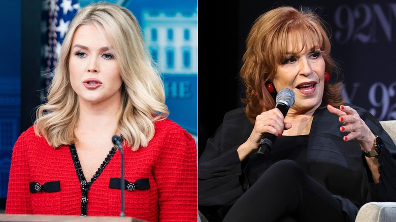 The Rumored Lawsuit Going On Between Karoline Leavitt And The View