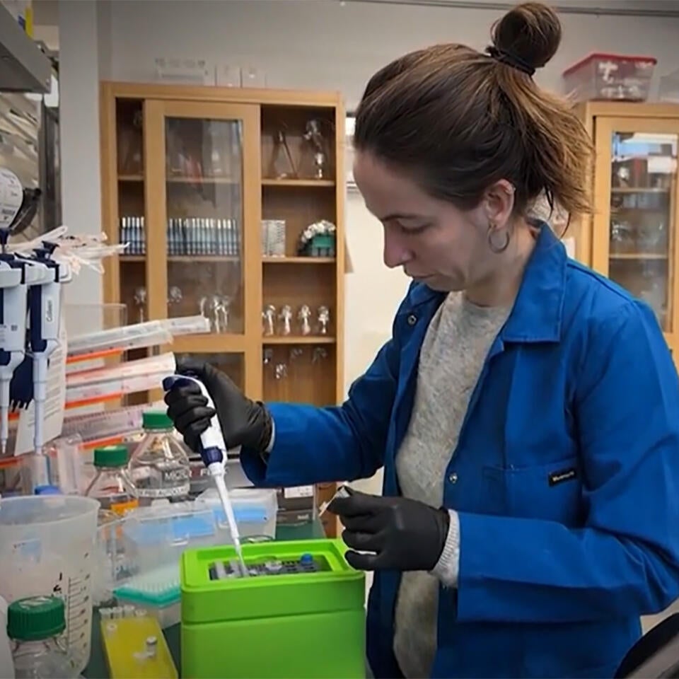 health-expert-calls-trump-s-medical-research-cuts-reckless-destruction