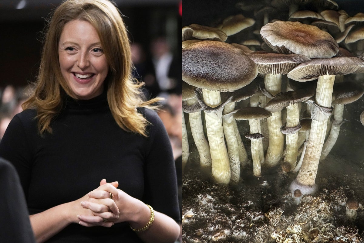 Trump’s Surgeon General pick credits magic mushrooms with helping her