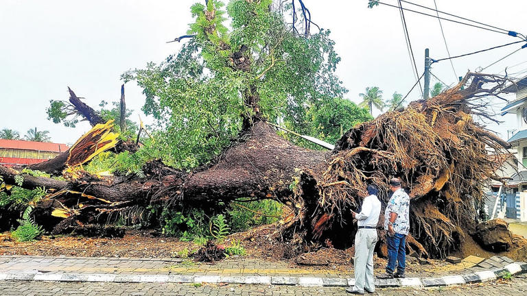 IMD issues red alert for 11 Kerala districts; schools shut in nine due ...