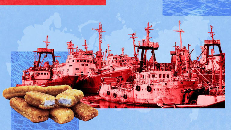 Russian fishing boats which ‘supply UK’ accused of Kremlin sabotage ...