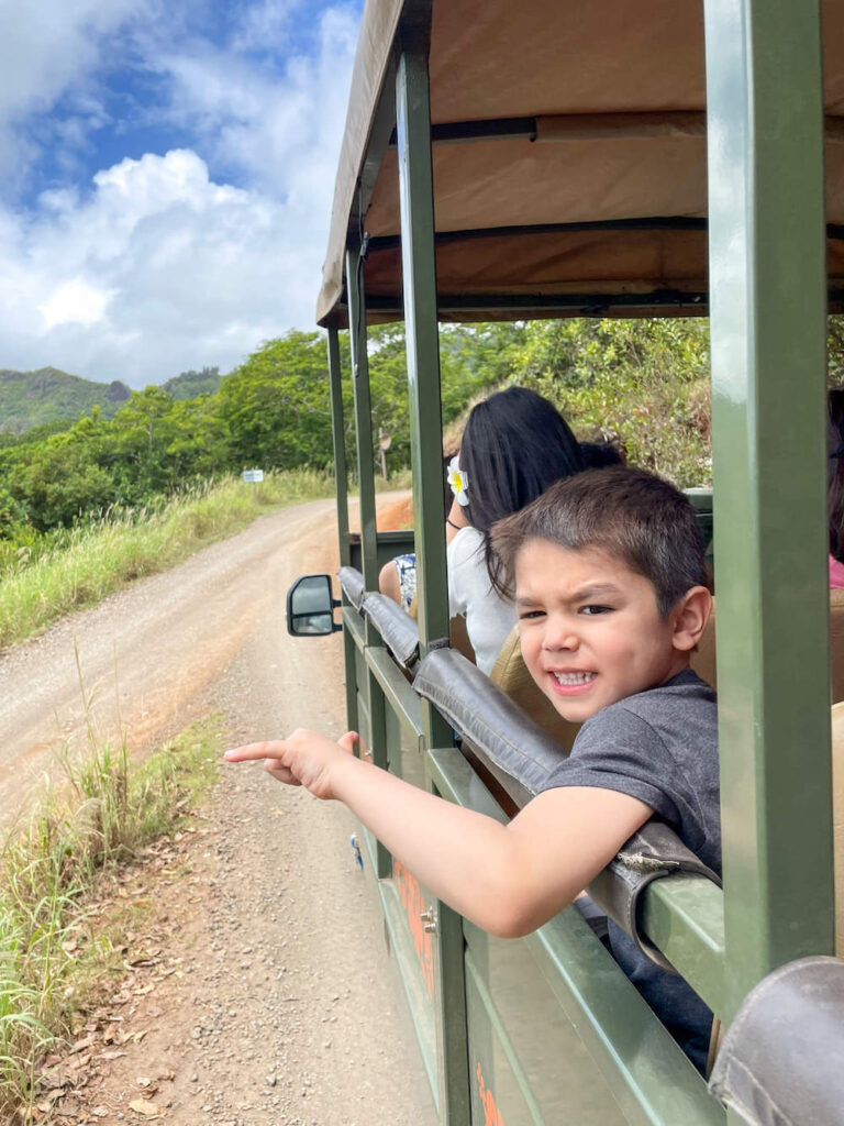 15 things to know about Kualoa Ranch and what to do there