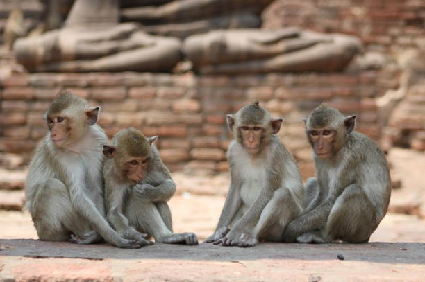Image from article