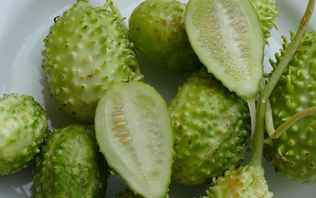 O vegetal mais esquecido é um dos mais poderosos: conheça os benefícios do maxixe e como cozinhar