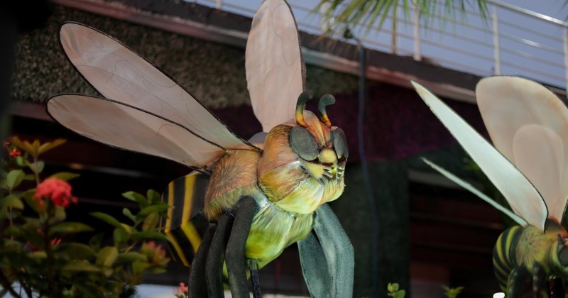 Insectus cautiva Tampico con arte, ciencia y conciencia ambiental