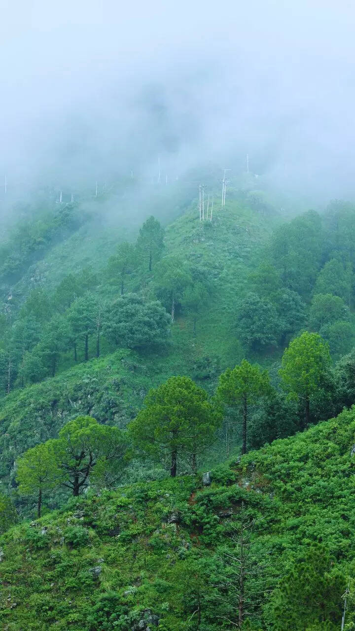 8 magical hill stations in Northeast India for a perfect summer getaway