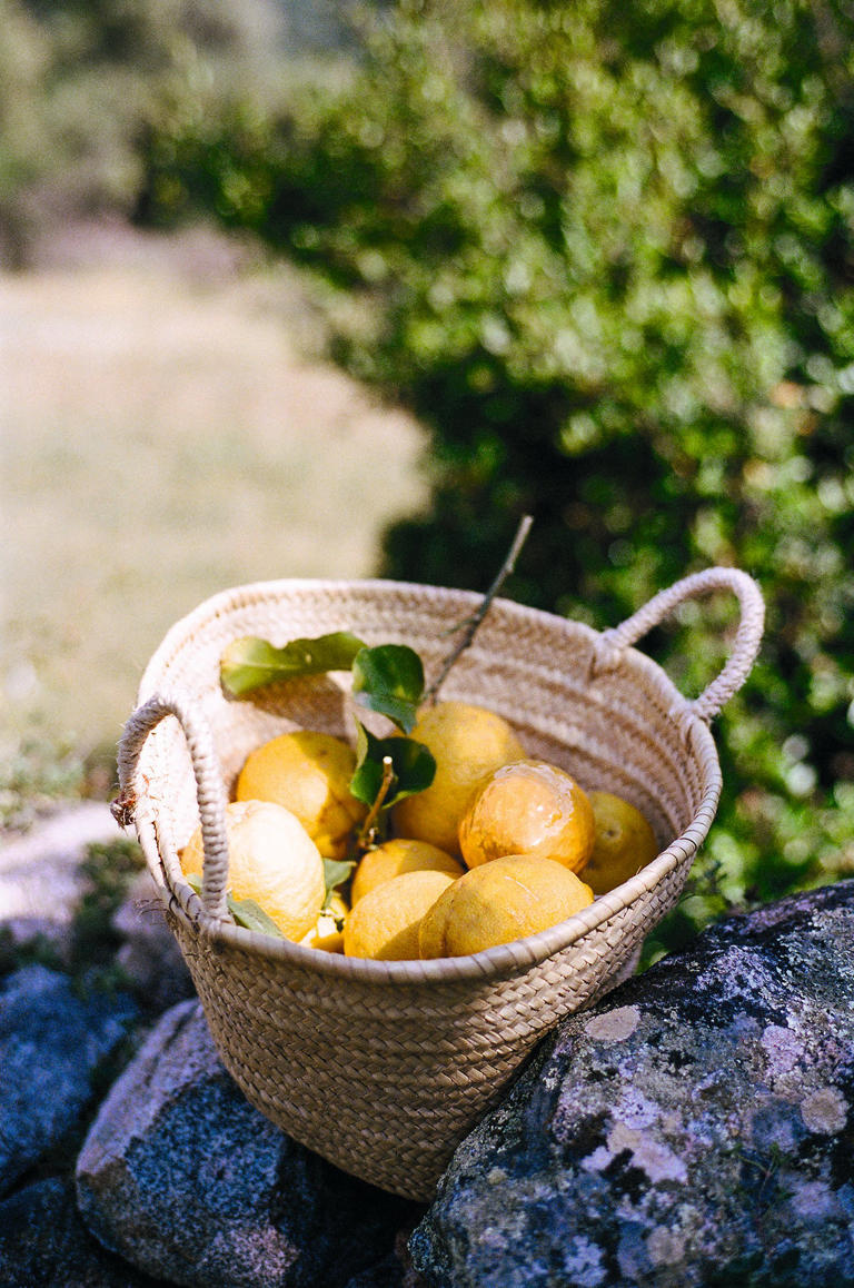 Why I’m obsessed with lemons (and wrote a whole cookbook about them)
