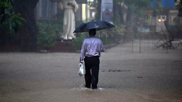 Monsoon intensifies across India; IMD issues multiple warnings, 'red ...
