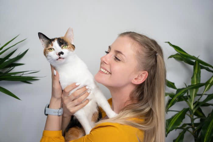 『パニックになっている猫』への間違った対応、3つのNG行為 我を忘れるきっかけになるシーンもご紹介