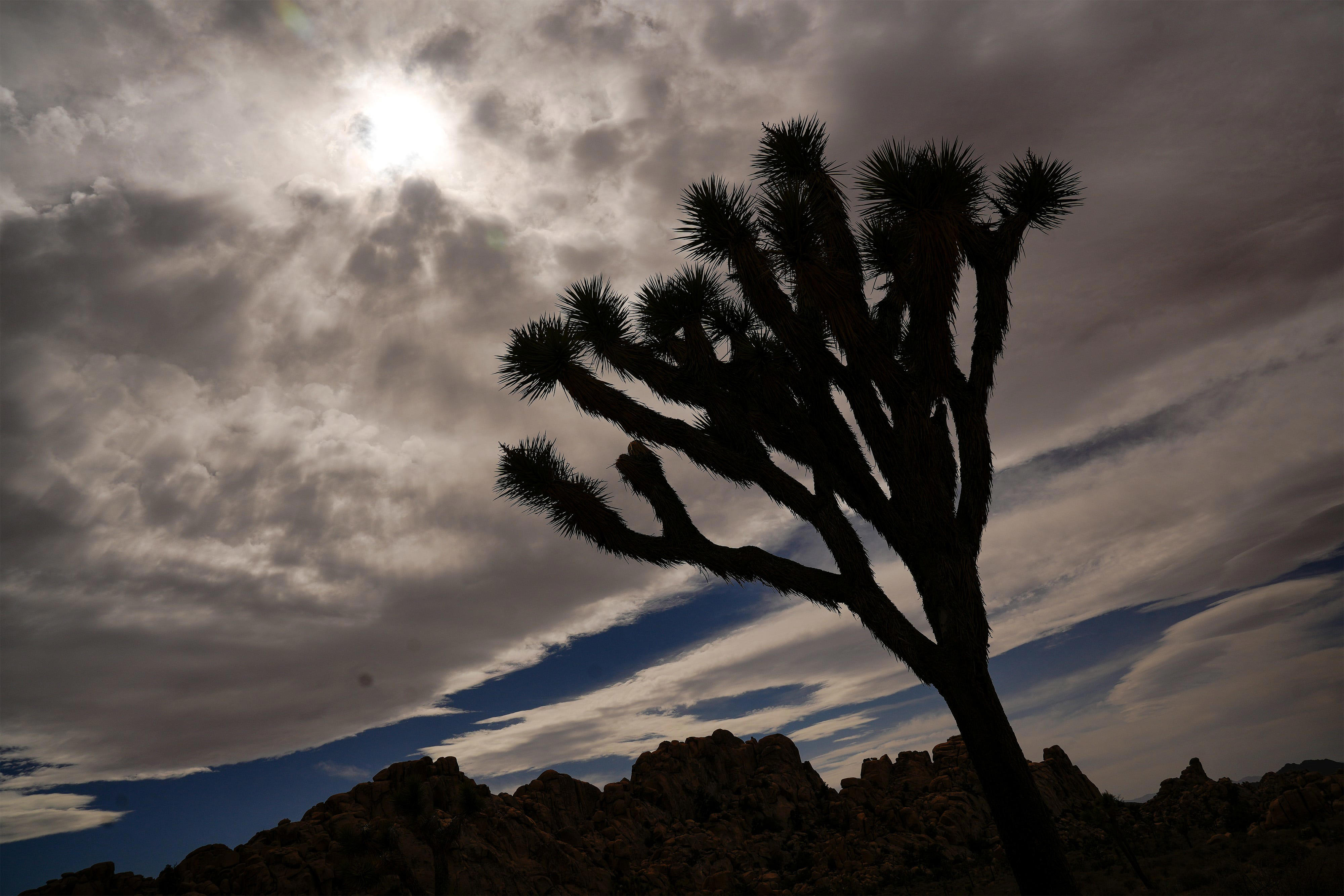 Thunderstorms reported in Coachella Valley See rain forecast for Saturday Thunderstorms reported in Coachella Valley See rain forecast for Saturday