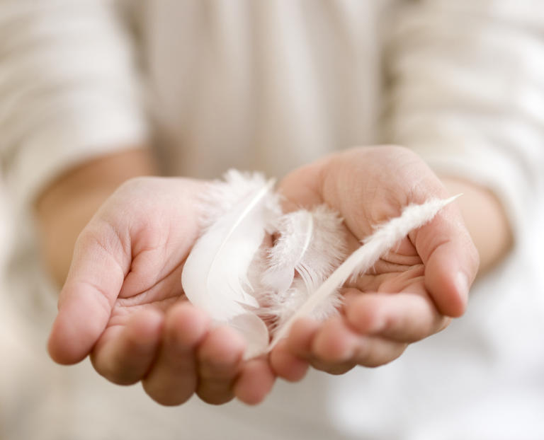 White Feather Meanings: 8 Messages You Might Be Missing