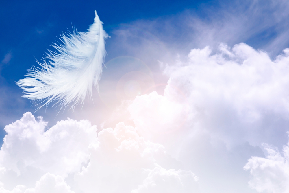 White Feather Meanings: 8 Messages You Might Be Missing