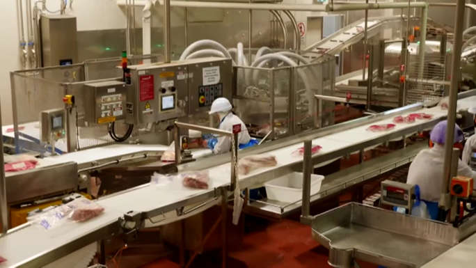 Major Abattoir Closure Shakes South Australia: Over 270 Jobs Lost