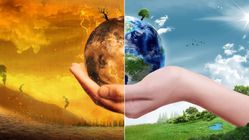 Suhu Bumi Mencapai Titik Panas Ekstrem, Brasil Investasi Rp16 Triliun Lindungi Hutan Tropis