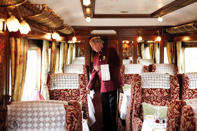 LUXE Train2 in Hamptons Floral